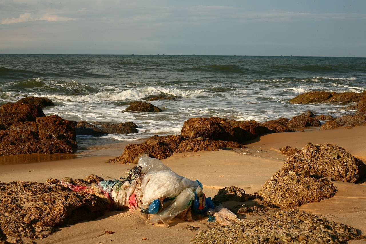 The Role of Recycling in Sustainable Development